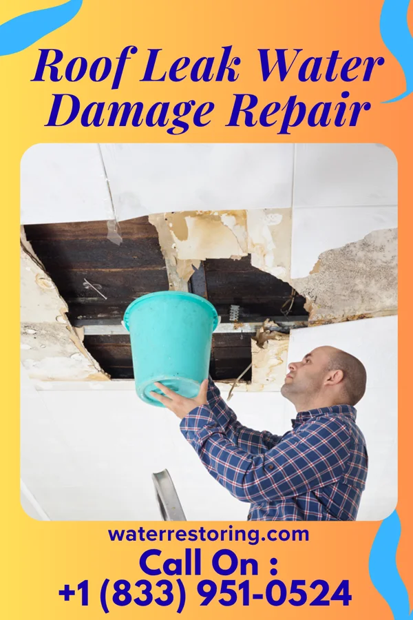 Roof Leak Water Damage Repair in Vista West, WY
